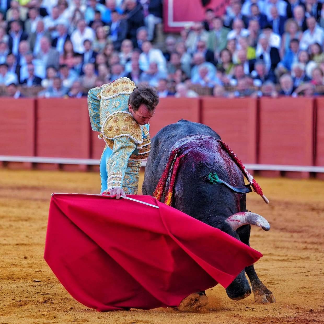 Frontera Digital, Diario Frontera, Un gran «Lamparillo» en una miurada con muchos perejiles