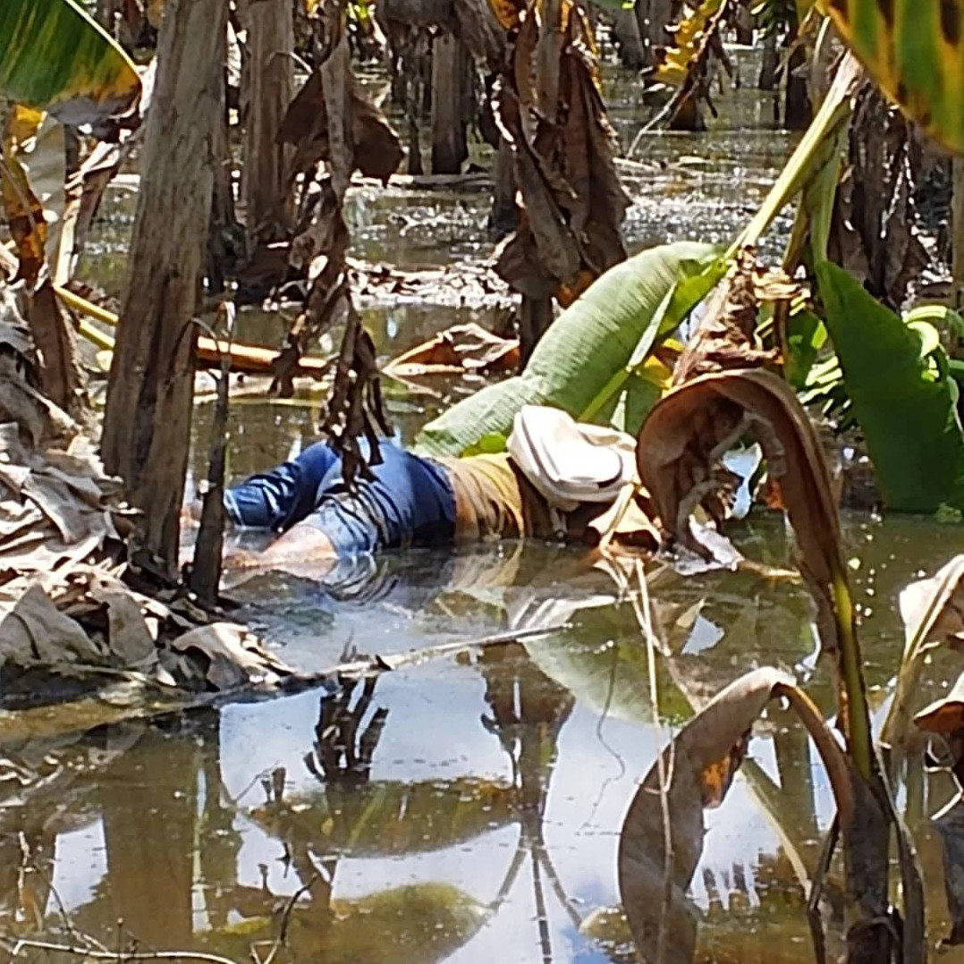 Frontera Digital,  Sucesos,  Hallan sin vida hombre a orillas del río Mucujepe en Francisco Javier Pulgar