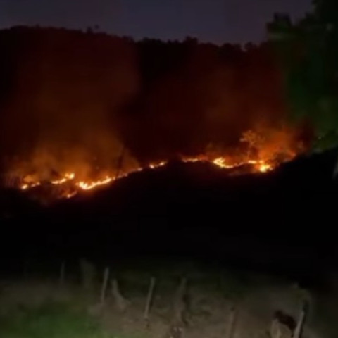 Frontera Digital,  Sucesos, Mocoties,  Se produce incendio en el sector El Peñón en la vía a Tovar