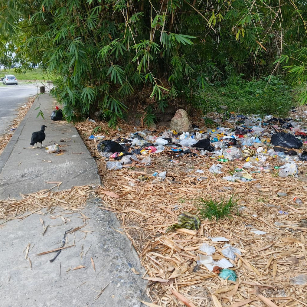 Frontera Digital,  El Vigía Panamericana,  De patrimonio histórico a vertedero: El alarmante declive ambiental a orillas del río Torondoy