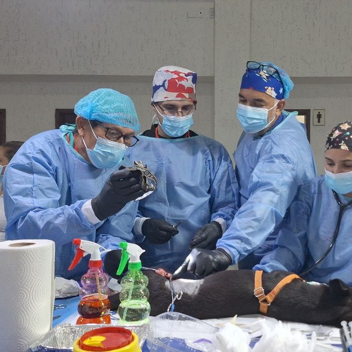 Frontera Digital, Diario Frontera, Mega jornada de esterilización atendió a más de 180 animales domésticos