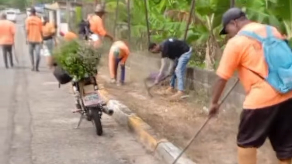 https://www.fronteradigital.com.ve/Arapuey activa el plan de fumigación y desmalezamiento en sectores clave