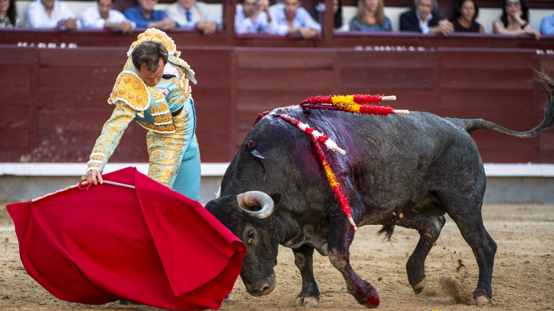 https://www.fronteradigital.com.ve/Román se encuentra con el Papa y habla con Dios en Las Ventas