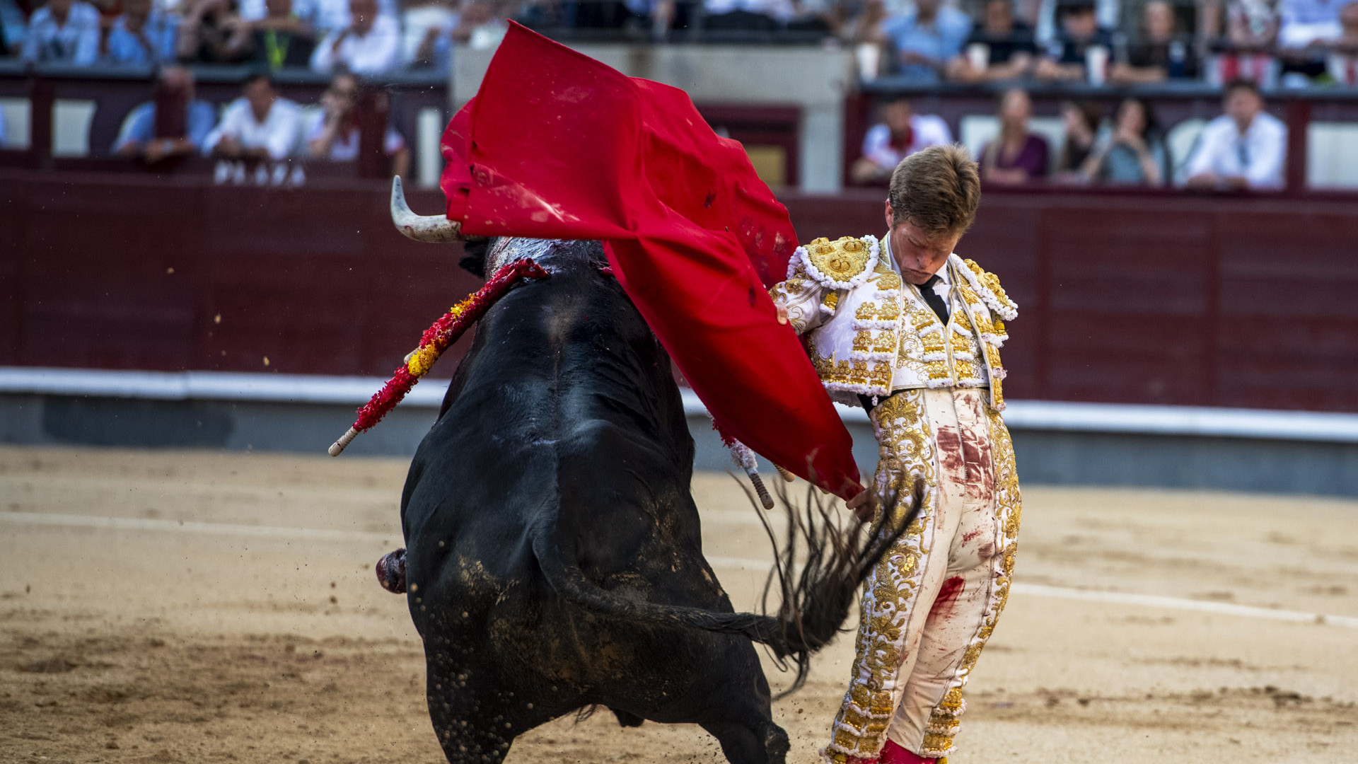 https://www.fronteradigital.com.ve/El síndrome del pánico al triunfo sepulta el gesto de Borja Jiménez en Las Ventas