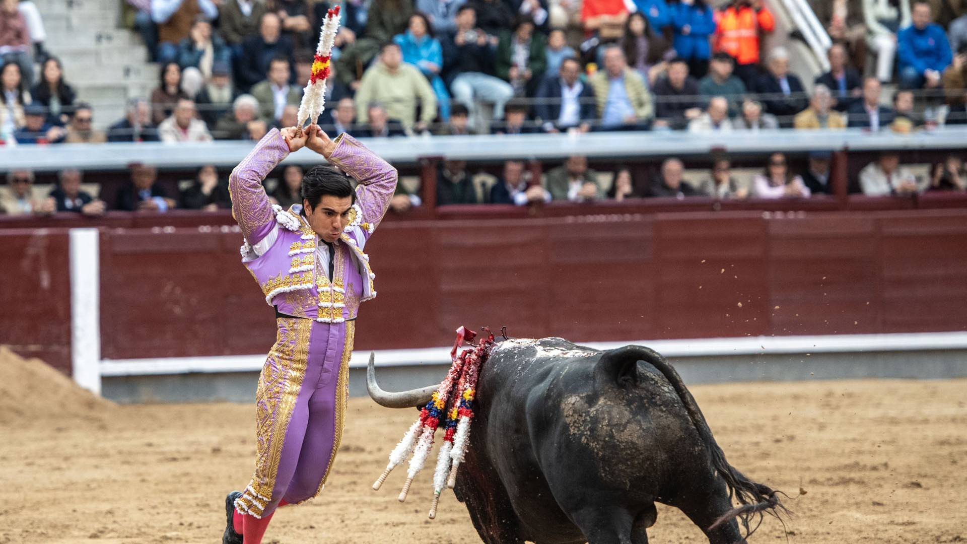 https://www.fronteradigital.com.ve/Primera alternativa de “Colombo” al lado de la revelación de la pasada Feria de San Isidro