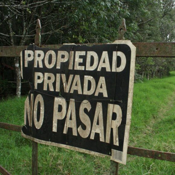 Frontera Digital,  Nacionales,  Cedice propuso una ley para reparar bienes expropiados y devolver activos tomados por el Estado
