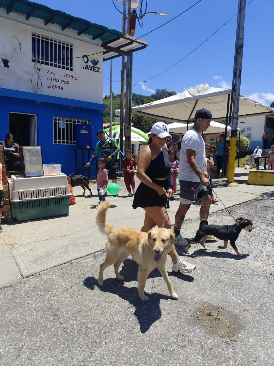 Diario Frontera, Frontera Digital,  Regionales, ,Lanzamiento oficial del «Plan Rabia Cero» benefició a más de 100 animales de compañía y comunitarios en Mérida