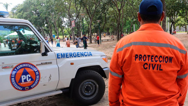 Diario Frontera, Frontera Digital,  Deportes, ,Un incidente con abejas alteró la jornada deportiva previa al encuentro del Deportivo Táchira | Archivo,Ataque de abejas en el Polideportivo de Pueblo Nuevo de San Cristóbal 
dejó más de 30 lesionados