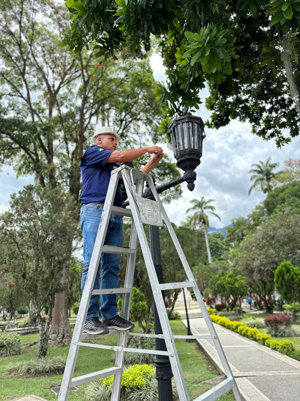Diario Frontera, Frontera Digital,  Regionales, ,Alcaldía de Mérida inició recuperación integral de la Plaza Bolívar