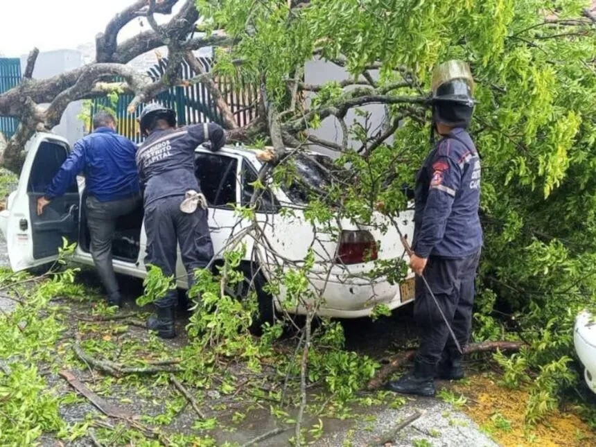 Diario Frontera, Frontera Digital,  Nacionales, ,Reportaron anegaciones y árboles caídos por las lluvias en la Gran Caracas